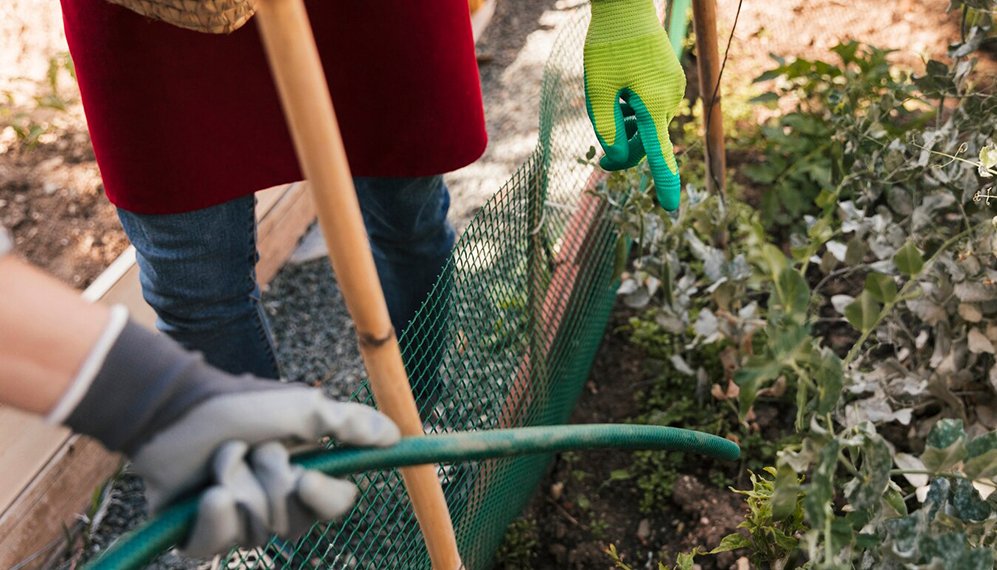 Garden Cleaning Services