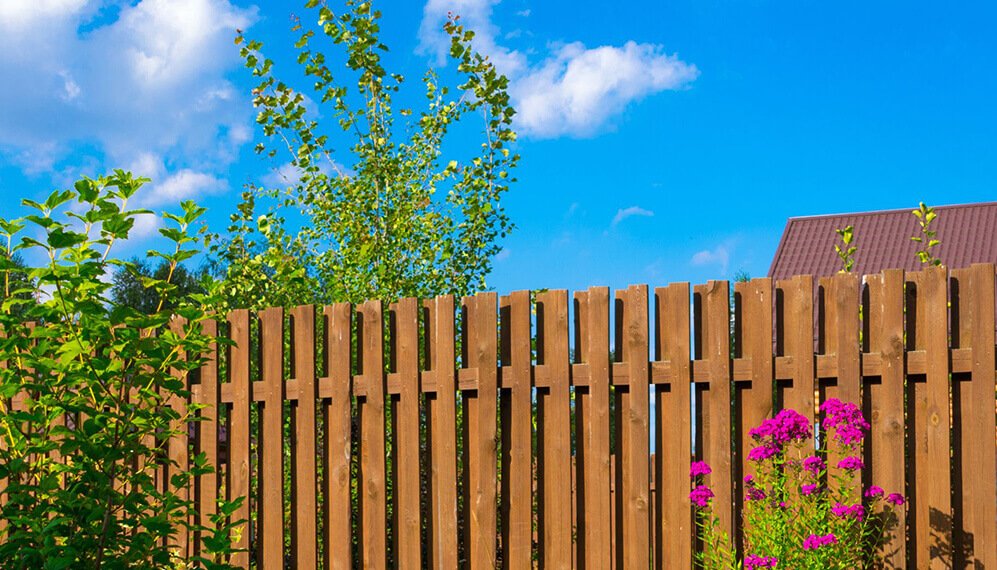 Wooden fences