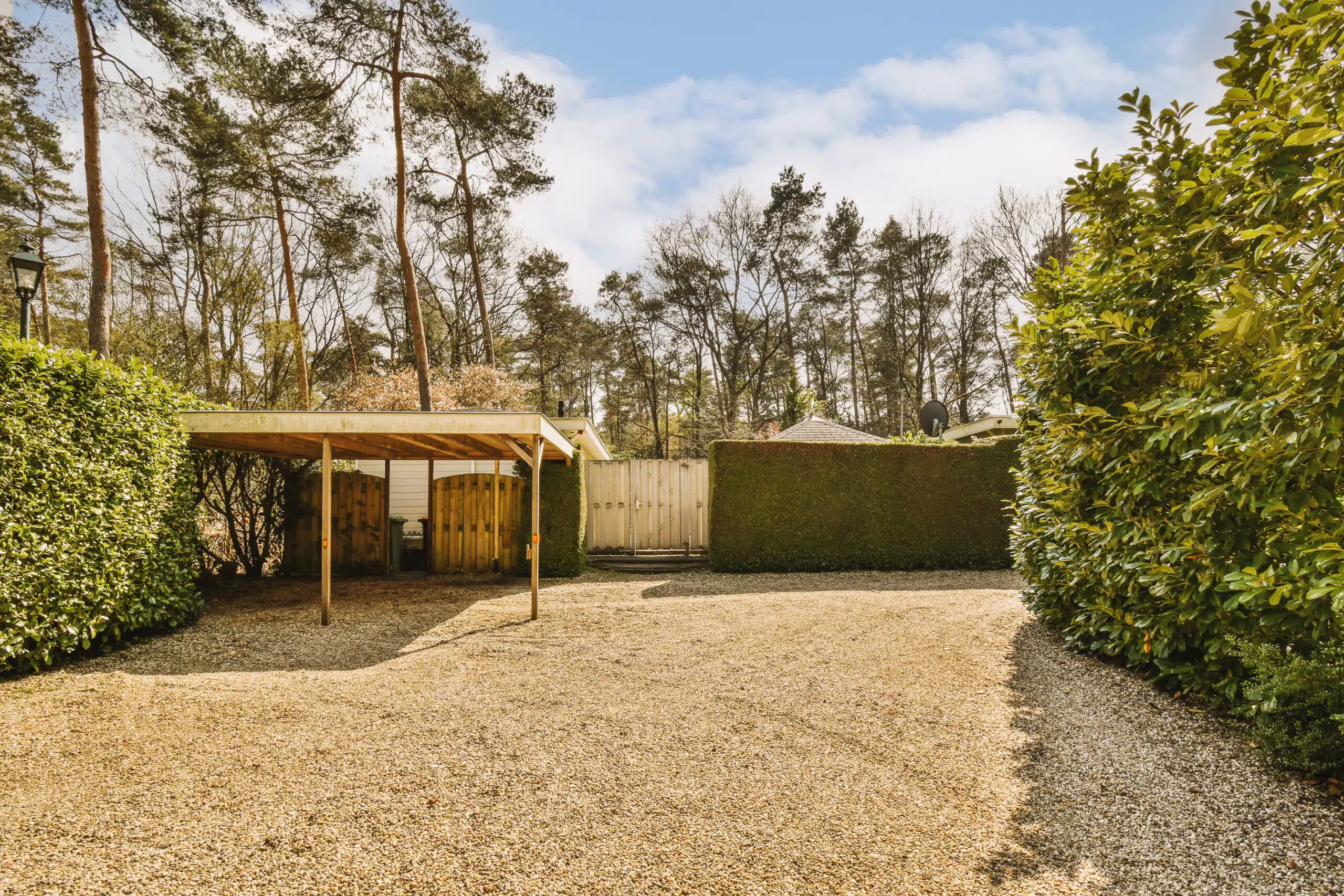 a backyard area with trees and bushes in the background, including a small shed surrounded by shrubs on either side
