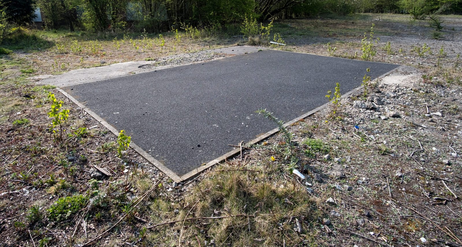 black pavement pad surrounded by nature and vegeta 2026 03 26 02 36 26 utc 1 scaled